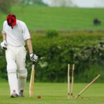Cricket