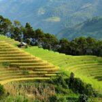 Asia scholarships