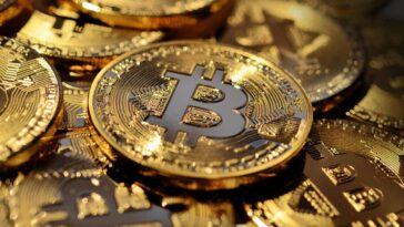 Stock Market Soars: Key Insights for Savvy Traders in October 2023