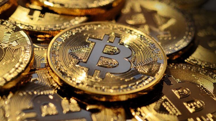 Stock Market Soars: Key Insights for Savvy Traders in October 2023