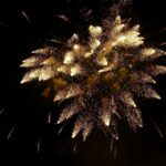 New Trends in Insurance for 2024: How to Save Big on Coverage!