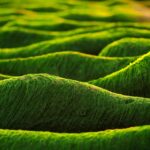 Mortgage Rates Drop Again: What This Means for Homebuyers in 2023 26 Mortgage Rates Drop Again: What This Means for Homebuyers in 2023