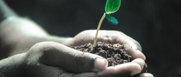 New Banking Regulations: What They Mean for Your Savings in 2023