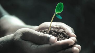 New Banking Regulations: What They Mean for Your Savings in 2023