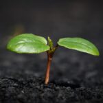 New Study Reveals Top Business Trends Shaping 2024: What Every CEO Must Know