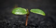 New Study Reveals Top Business Trends Shaping 2024: What Every CEO Must Know