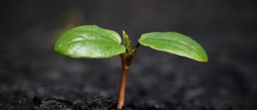 New Study Reveals Top Business Trends Shaping 2024: What Every CEO Must Know