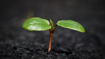 New Study Reveals Top Business Trends Shaping 2024: What Every CEO Must Know