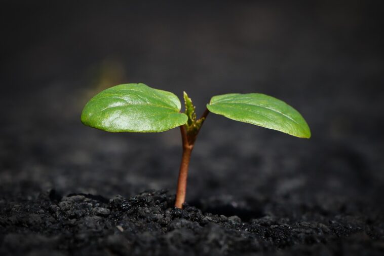 New Study Reveals Top Business Trends Shaping 2024: What Every CEO Must Know