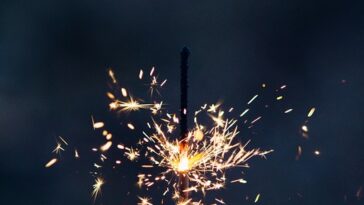 New Trends in Insurance for 2024: How to Save Big on Coverage!